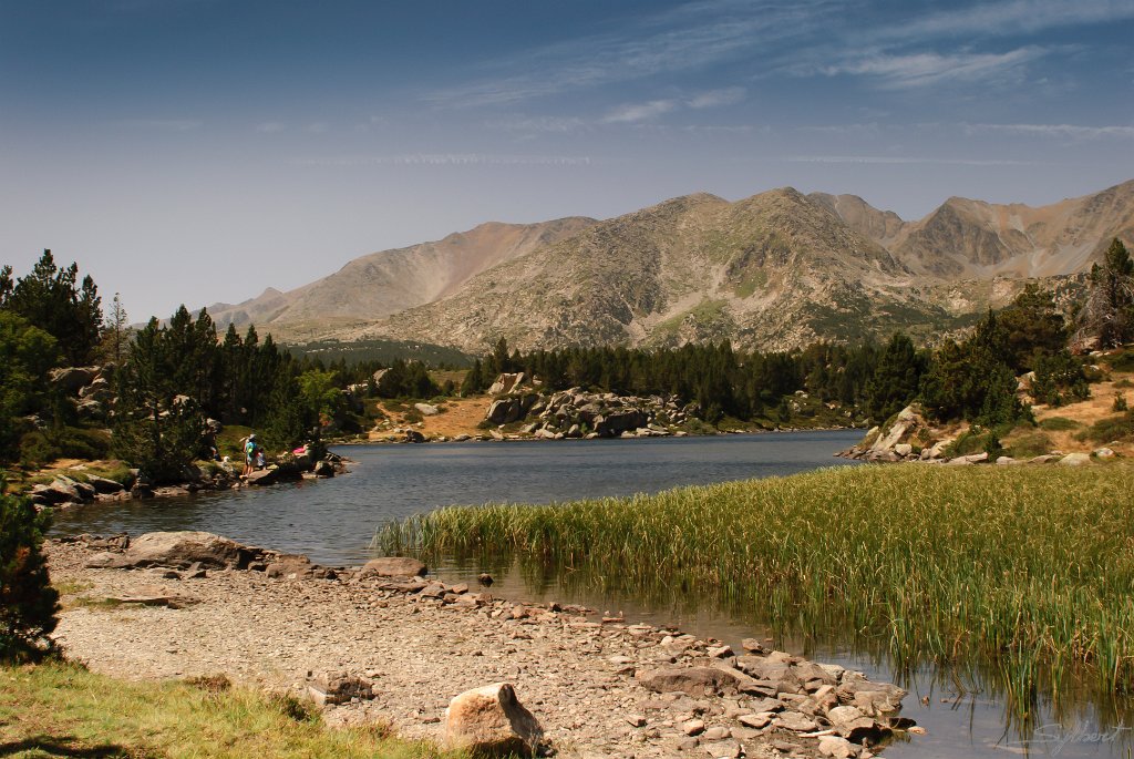 _GIL3632 m.JPG - Estany de la comassa